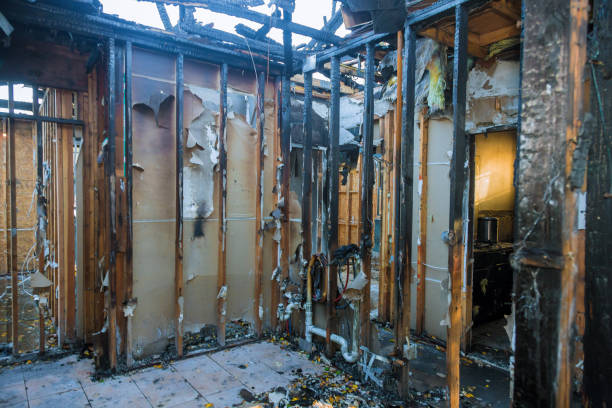 Professional Fire Damage Repair technician working in Boyds, MD